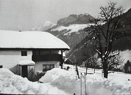 UNTERIBERG Ski- und Ferienhaus Jezlerhütte