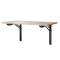 DEMA Universal Klapptisch 120x58cm