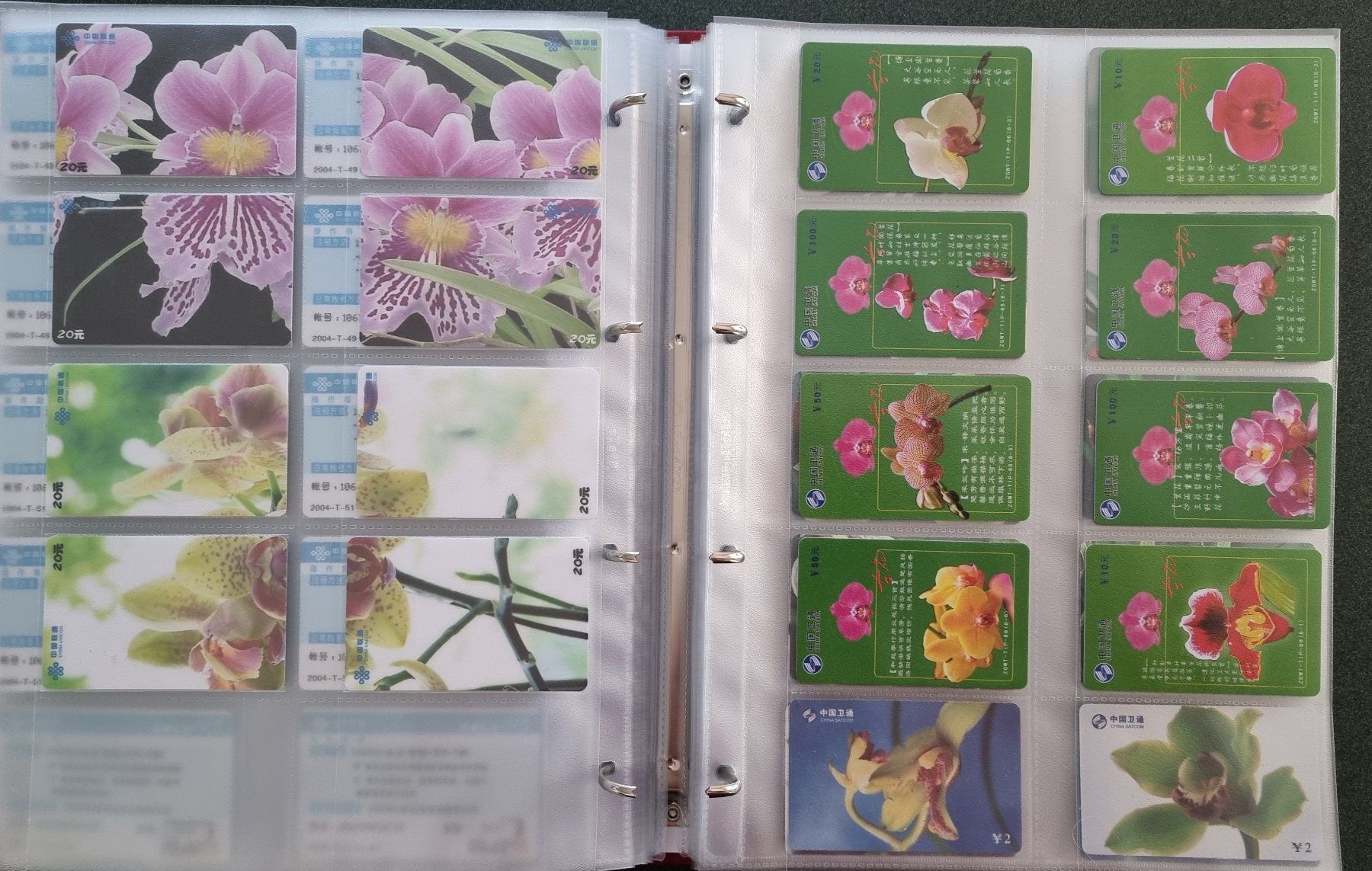Album: Album 1 Telefonkarten Orchideen – Usato da Lostorf venduto da Dalbi 6