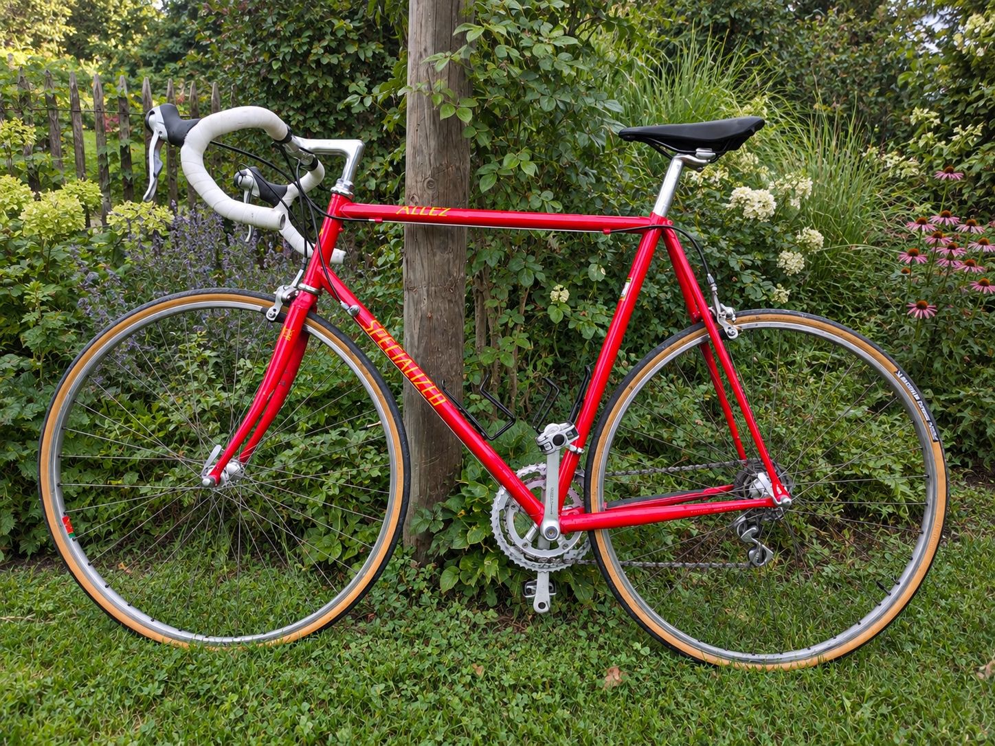 Specialized Biciclette: Rennrad Specialized Allez – Usato da Balterswil venduto da RequireQuagmire