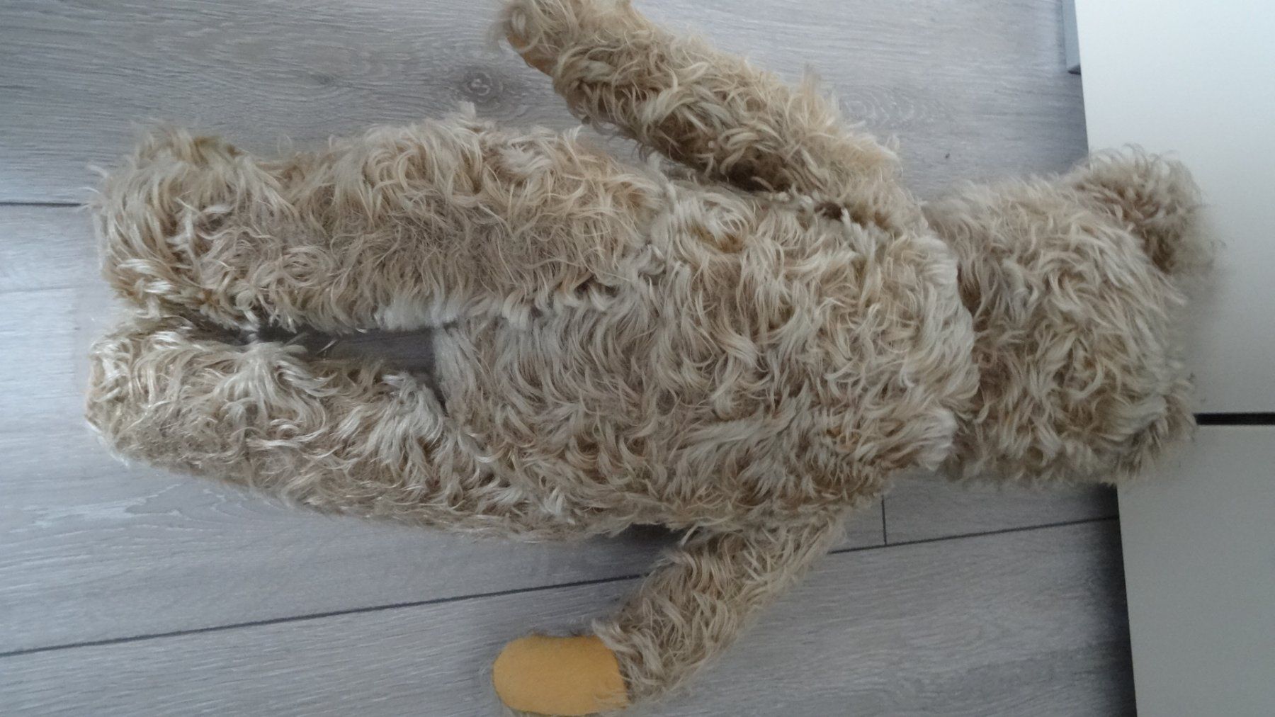 Jouets: TEDDYBAER – D'occasion à Ehrendingen par CHMEX 4