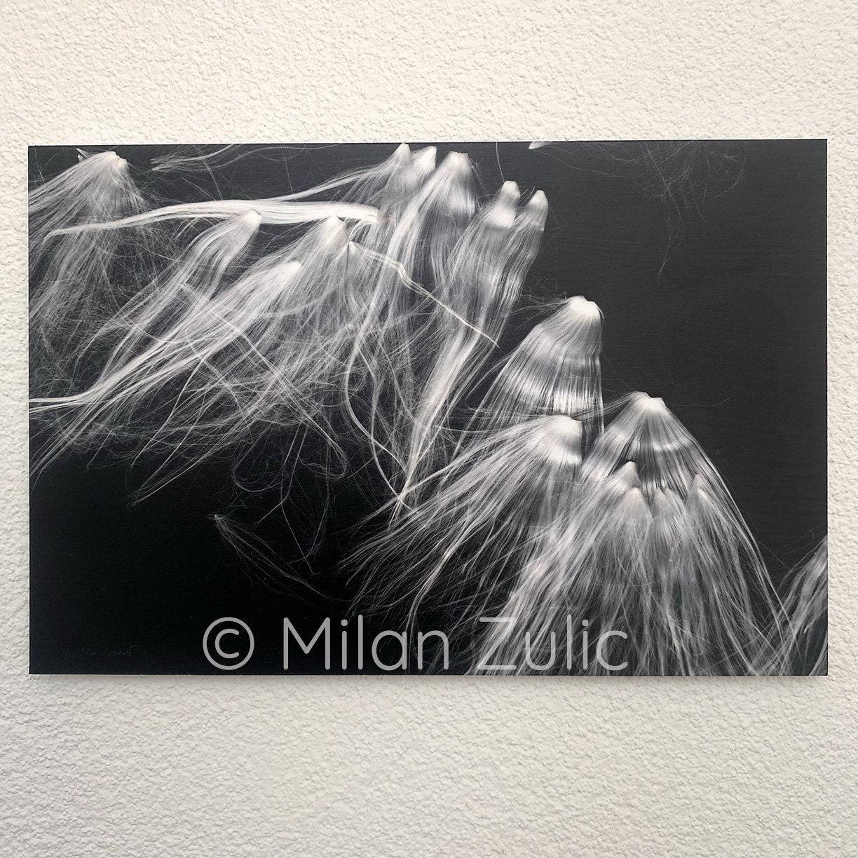 Foto & Immagini: Milan Zulic ~66 – Nuovo (secondo la descrizione) da Uetikon am See venduto da mil_7k2b 5
