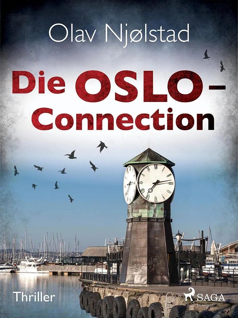 Libri: 10 Krimis/Thriller – Usato da bern venduto da jeannie2006 9