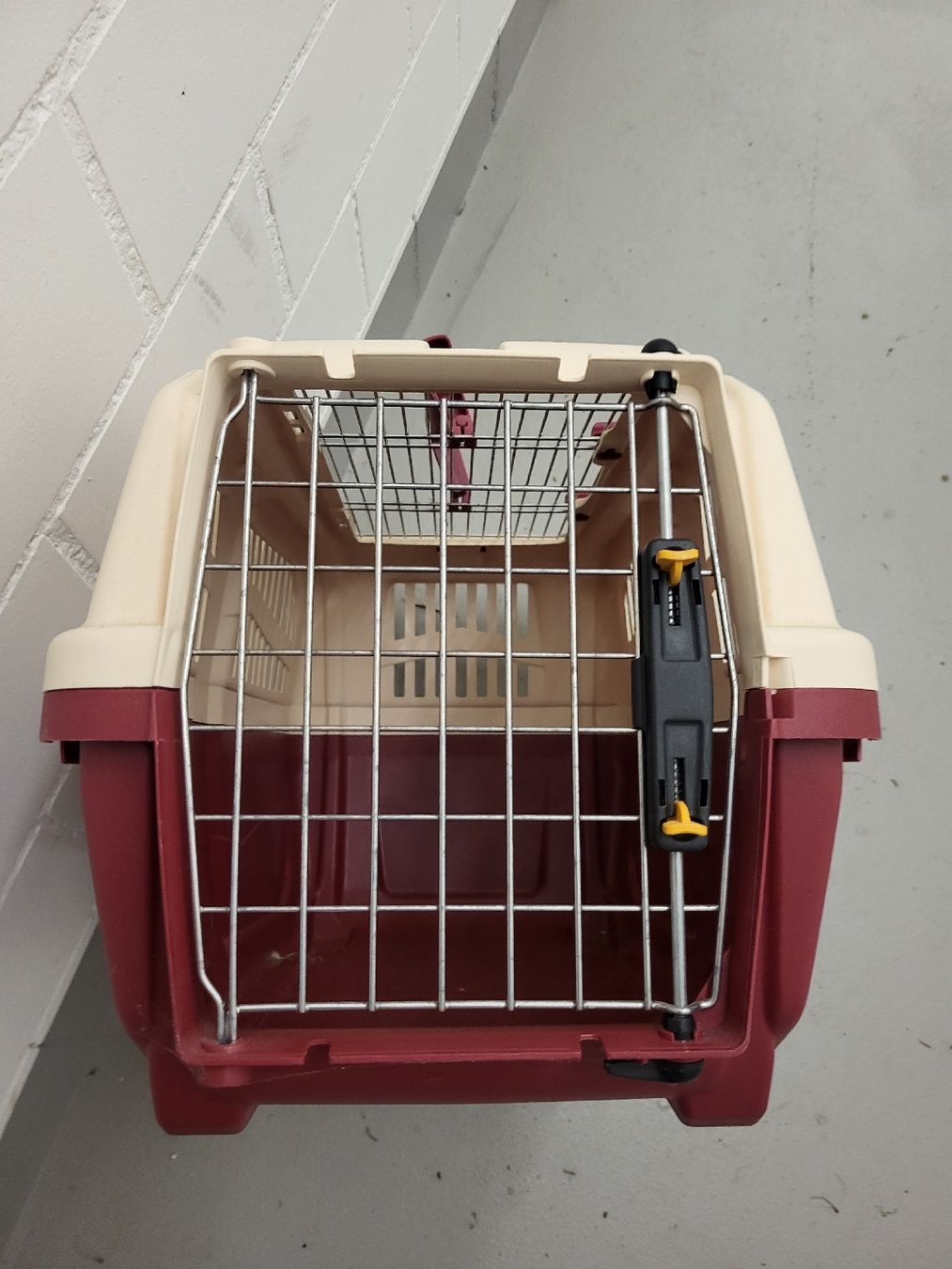 Gabbie, trasporto & Sicurezza: Katzentransportkiste – Usato da Gutenswil venduto da ghekko88 1