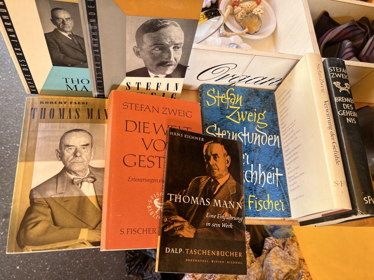 Libri: 8 Bücher Thomas Mann Stefan Zweig – Usato da Kriens venduto da Clevero