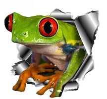 Auto Aufkleber 138 – Frosch- 13 x 13 cm