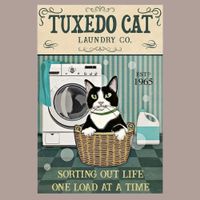 🔥 CAT LAUNDRY Katzen Blechschild 💙 20x30cm OVP 🔥