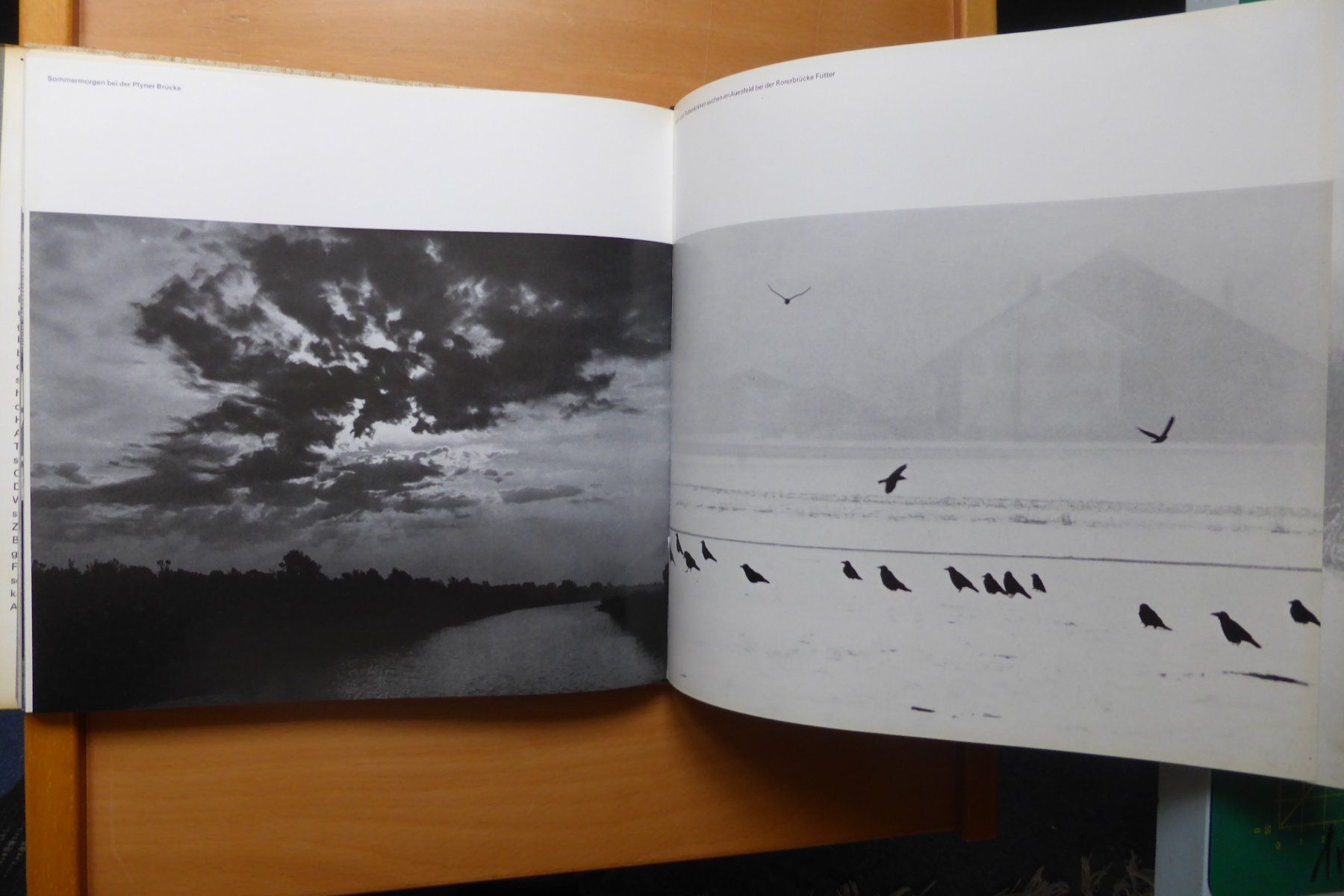 Libri: Hans Baumgartner - Thurgau - 180 Fotographien – Usato da Brunnadern venduto da lesezirkel 5