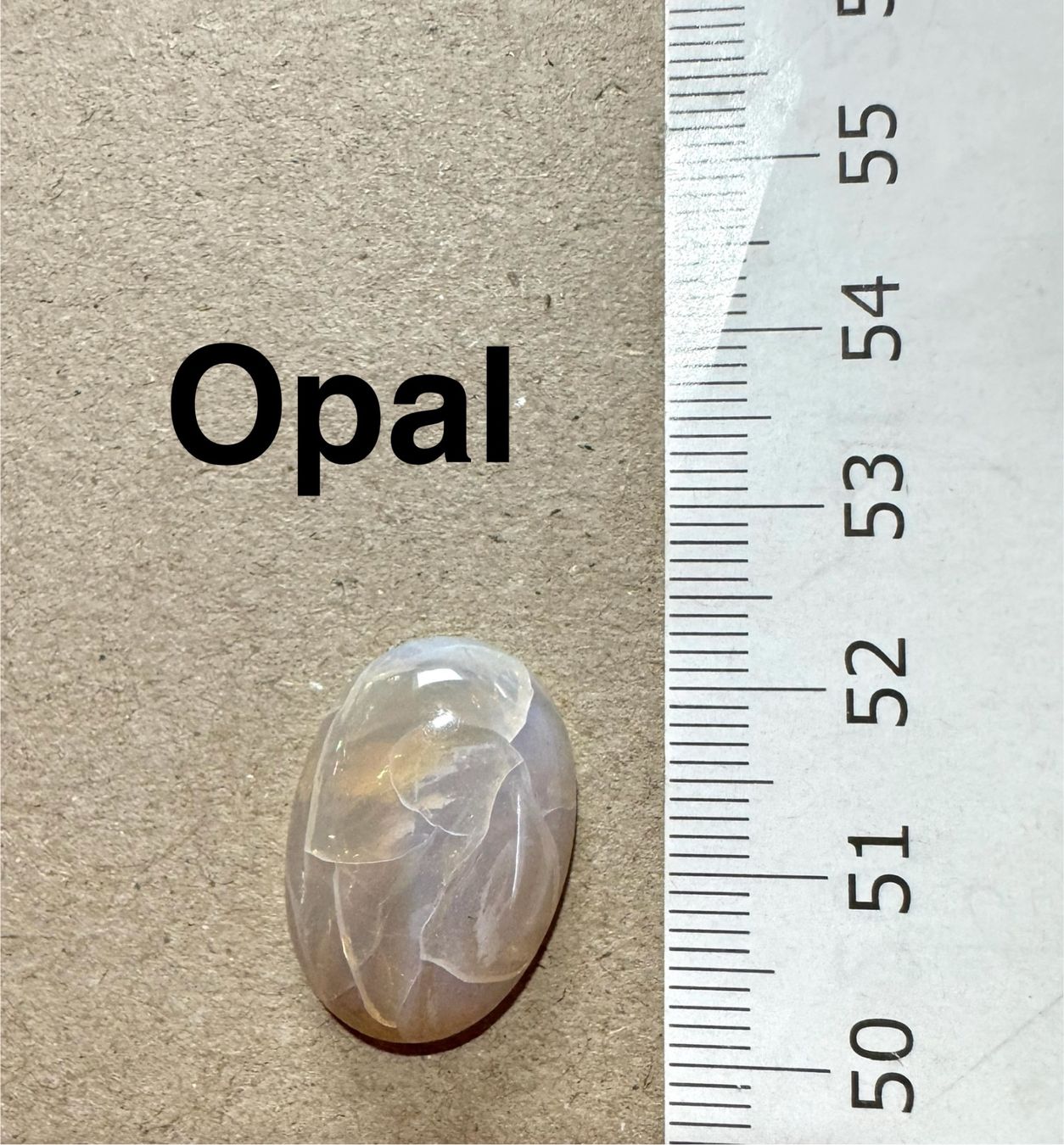 Fossili: Opal Cabochon    aus Australien Einzelstück  TOP TOP TOP – Nuovo e nell'imballaggio originale da Leuggern venduto da gemshow 1