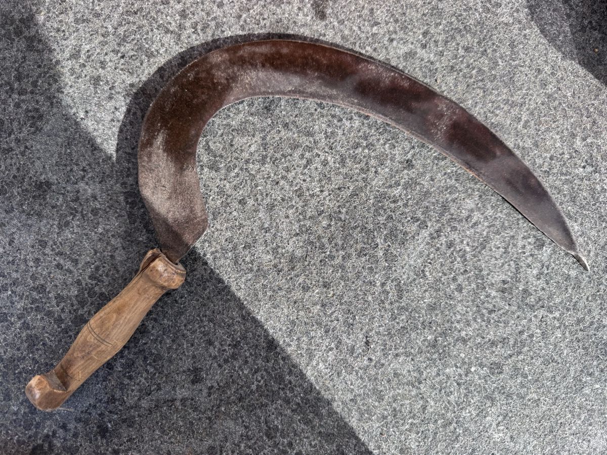 Tutti gli attrezzi: Alte Sichel  – Usato da Seon venduto da kst_d7jh 2