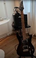 Ibanez SA220 FM E Gitarre * frisch ab Service, inkl.Zubehör