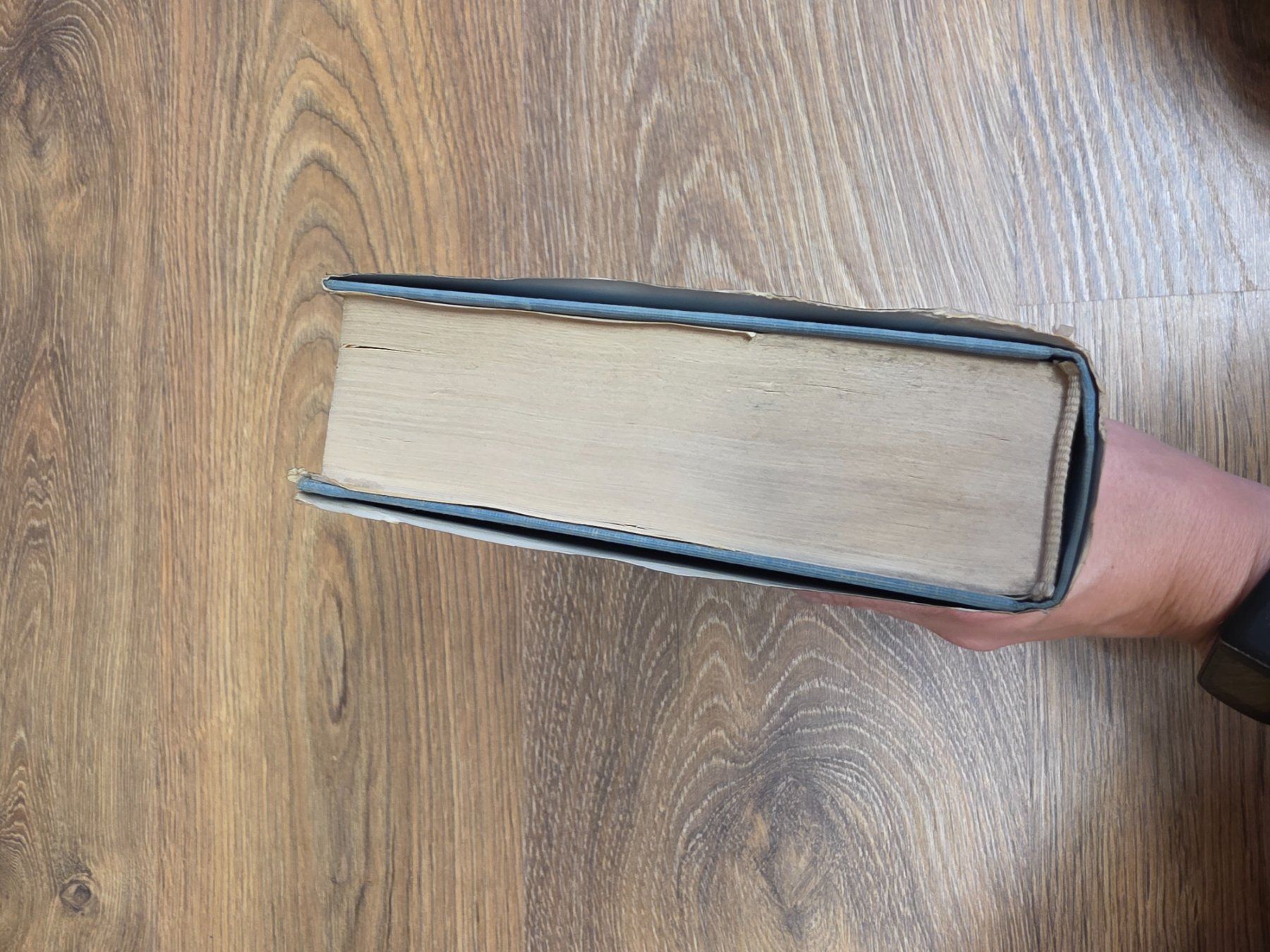Bücher: Roman "Jovana" von Utta Danella – Gebraucht aus Nebikon von Japostyle 4