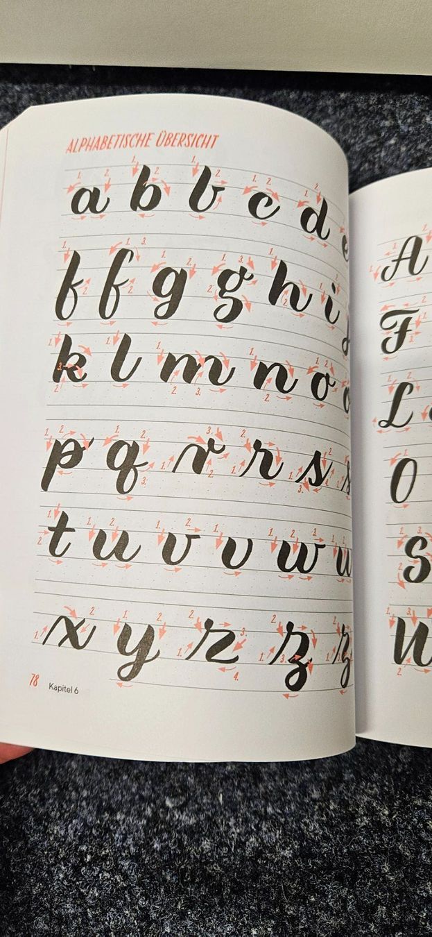 Libri: tolles Handletteringbuch – Usato da Balgach venduto da silvia2030 5