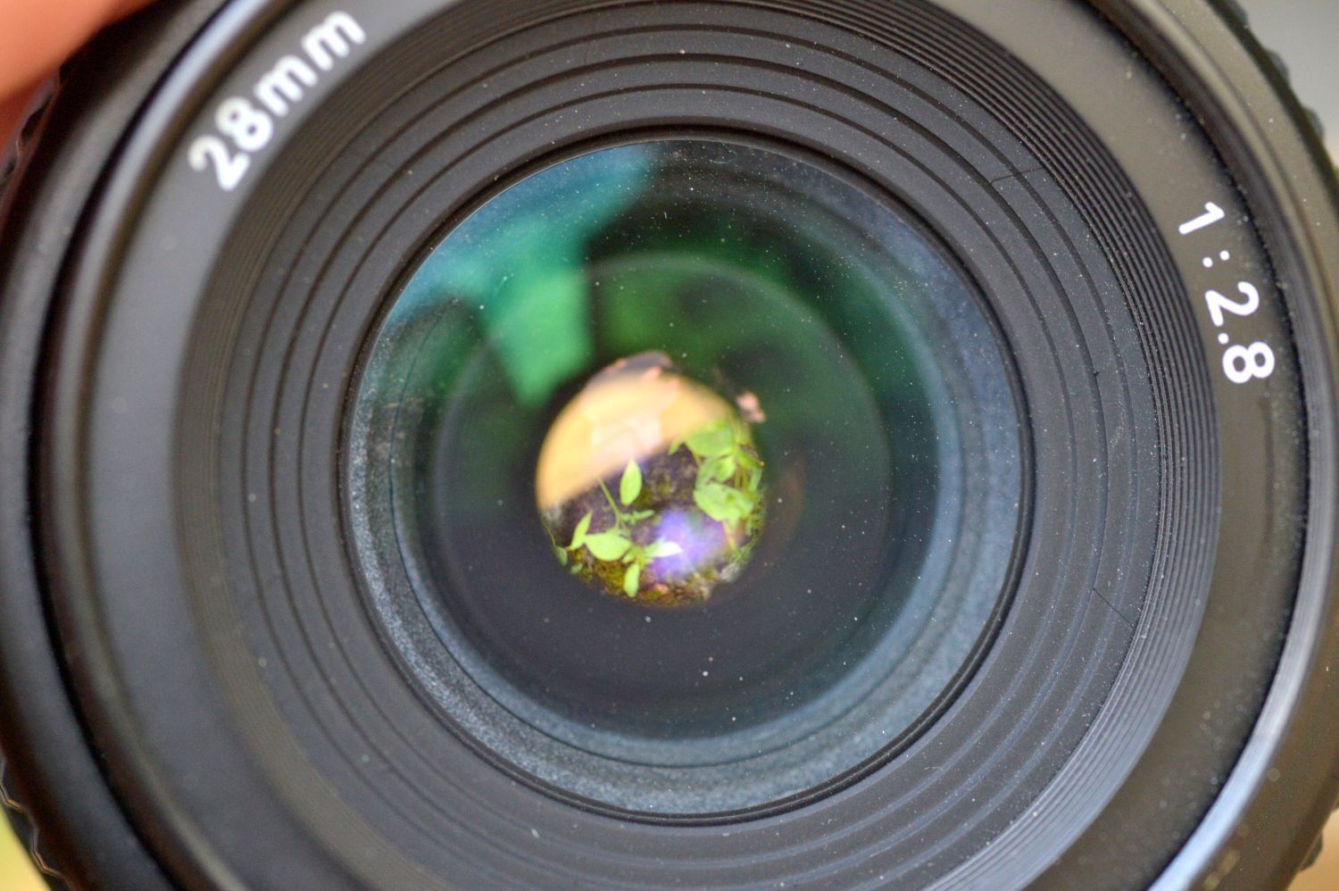 Nikon Objektive: Nikon AF 28mm f2.8 – Gebraucht aus Lichtensteig von dan_rj7z 5