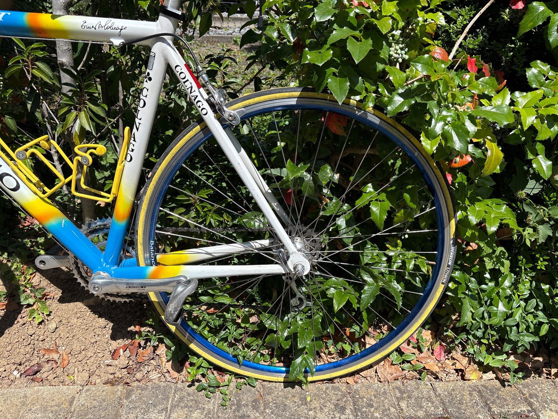 top gear is over Colour:Dark Gold (Shiny) Jako, Fahrräder & Zubehör Puncture resistant