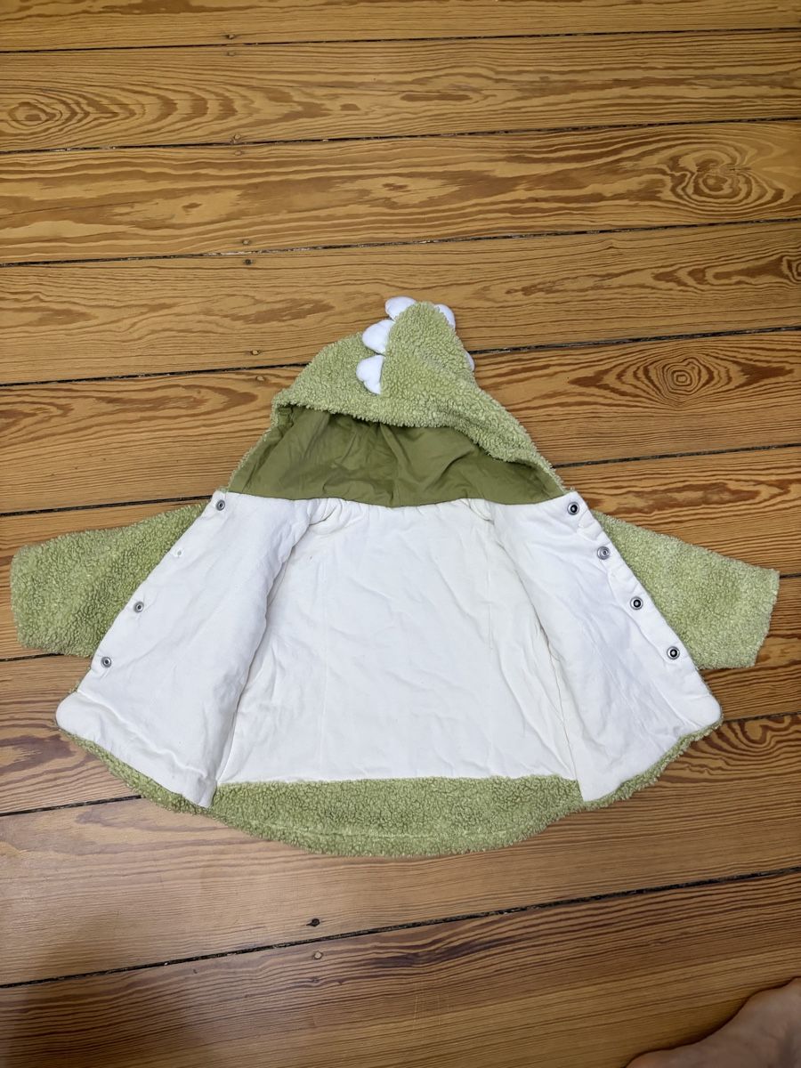 Giacche & Cappotti: Baby winter Jacket Dinosaur Size 90 2 Years – Nuovo (secondo la descrizione) da Basel venduto da 550_ckp6 2
