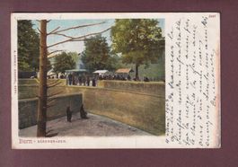 BERN - Bärengraben - 1903 // Eckbug + Rück verletzt //