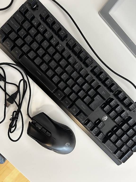 Tastiere: SILVERCREST SGKR A1 Halbmechanische Gaming-Tastatur mit Maus – Usato da Buchs ZH venduto da celin_k_06 1