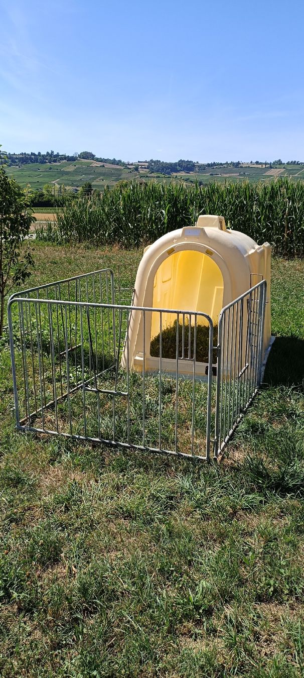 Gabbie, trasporto & Sicurezza: Kälberiglu mit Gehege gebraucht – Usato da Hallau venduto da FNeukomm 2