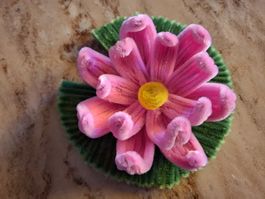 Seerose pink Blume Handarbeit