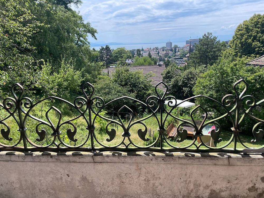 A DÉBARRASSER garde-corps, barrière fer forgé (D'occasion) à Lausanne ...