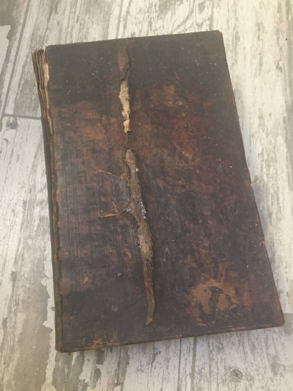 Libri: Altes & Neues Testament - 1738 – Usato da Regensdorf venduto da Antikus 1