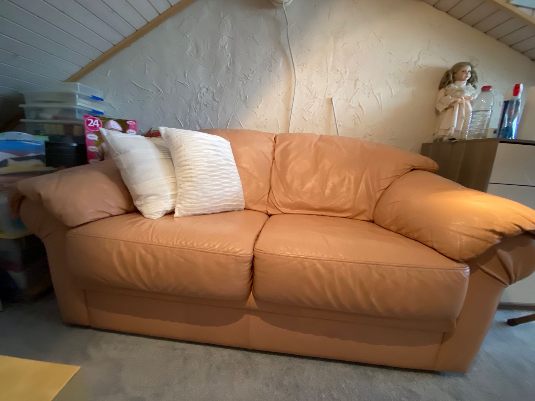 Sofas: Ledersofa – Gebraucht aus Ebikon von M5P5G50