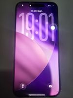 iPhone 15 Pro Max Display
