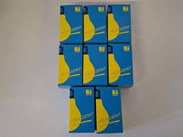 8x Righi Light Glühbirnen 245V 15W E27