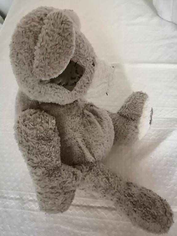 Jouets: Teddybär – D'occasion à Honau par holunder3 3