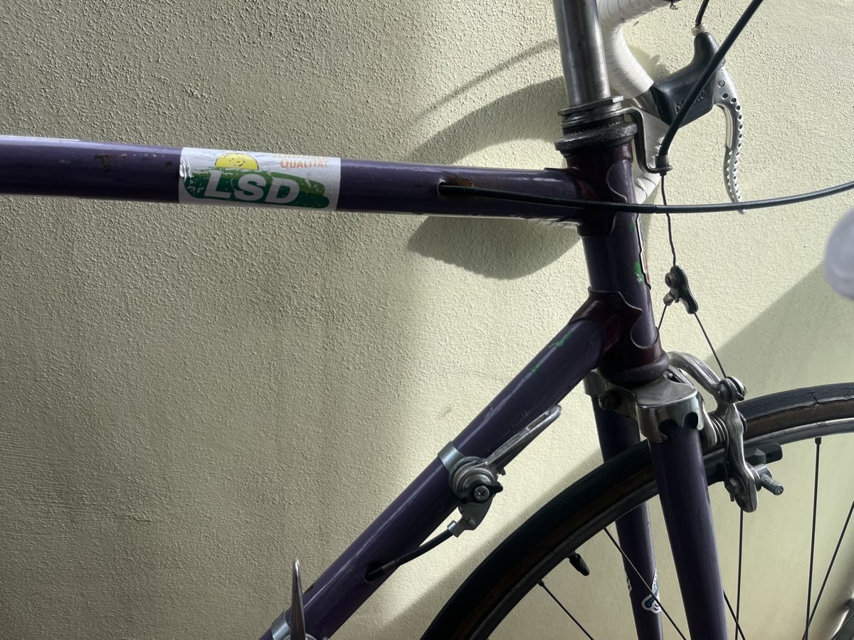 Biciclette: rennvelo – Usato da Basel venduto da hyuni 4