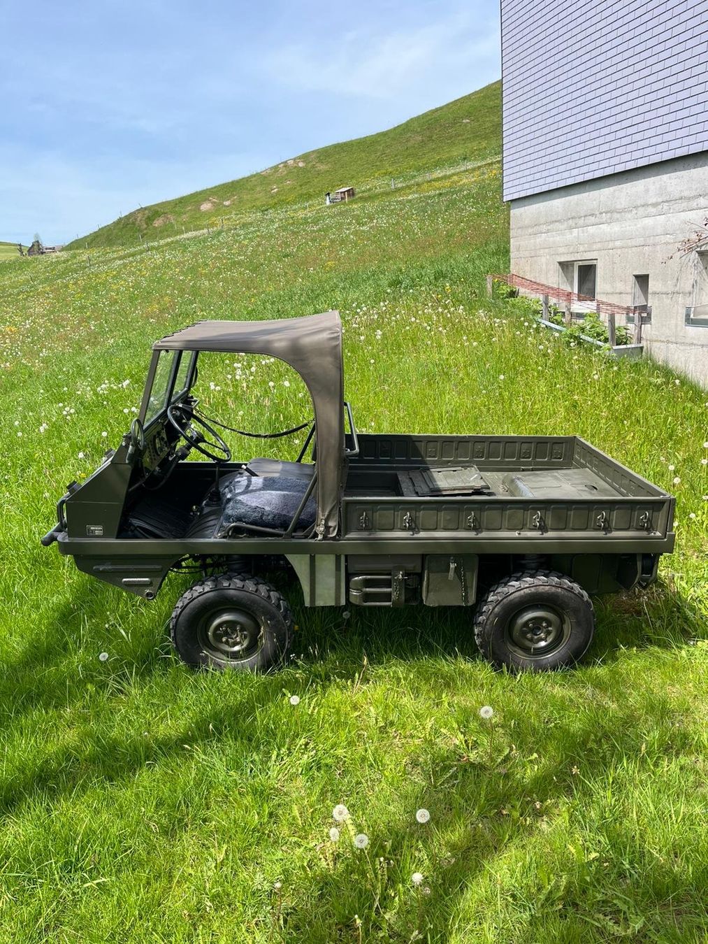 Puch Automobili: Puch Haflinger – Usato da Brülisau venduto da AdrianD01 1