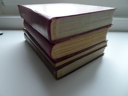 4 Lagerbücher Schweiz mit 90 Bilder ab Fr. 1.-