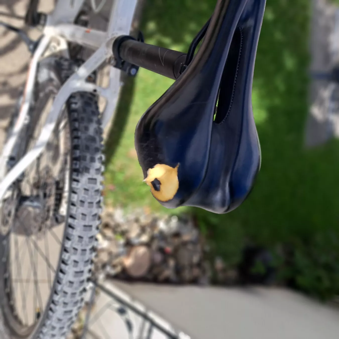 Wheeler Biciclette: Velo – Usato da Unterentfelden venduto da Miro-Lou 5