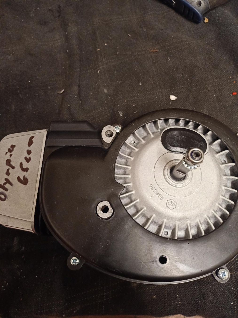 Piaggio Ciclomotori: Piaggio ciao Motor 65ccm – Usato da Buchs AG venduto da Marcolino08
