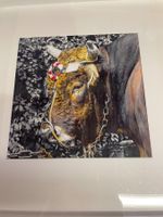 Appenzeller Bild / Foto