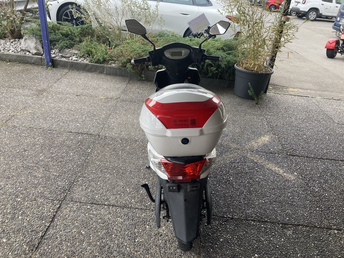 Scooter: Elektroroller  – Usato da Belp venduto da Cikarus 3
