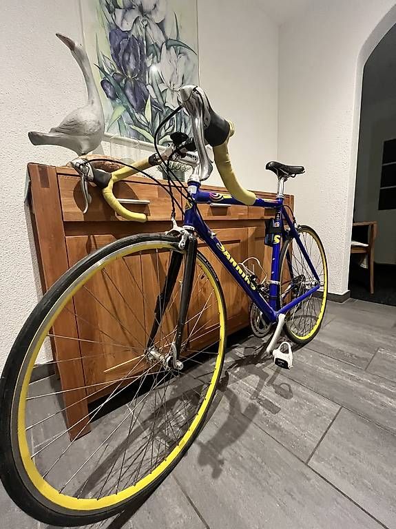 Biciclette: Sannino Rennrad – Usato da Attinghausen venduto da fla_xtb5
