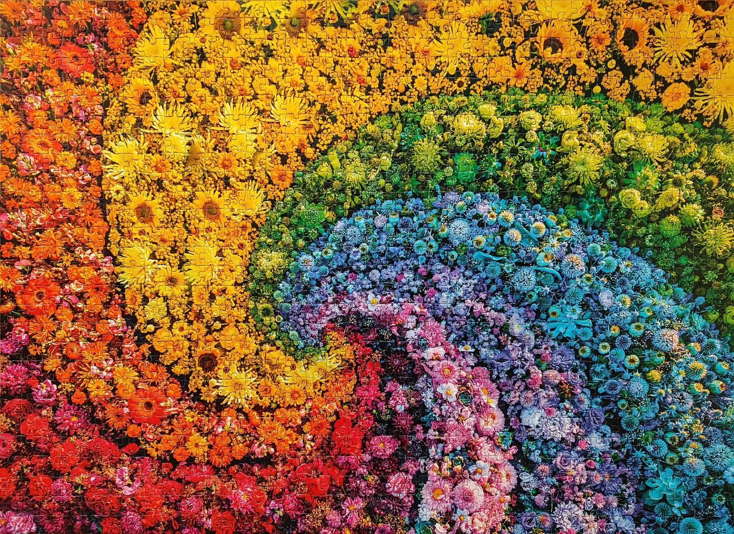 Clementoni Puzzles: Clementoni puzzle Colorboom 1000 – Gebraucht aus Illnau von  1