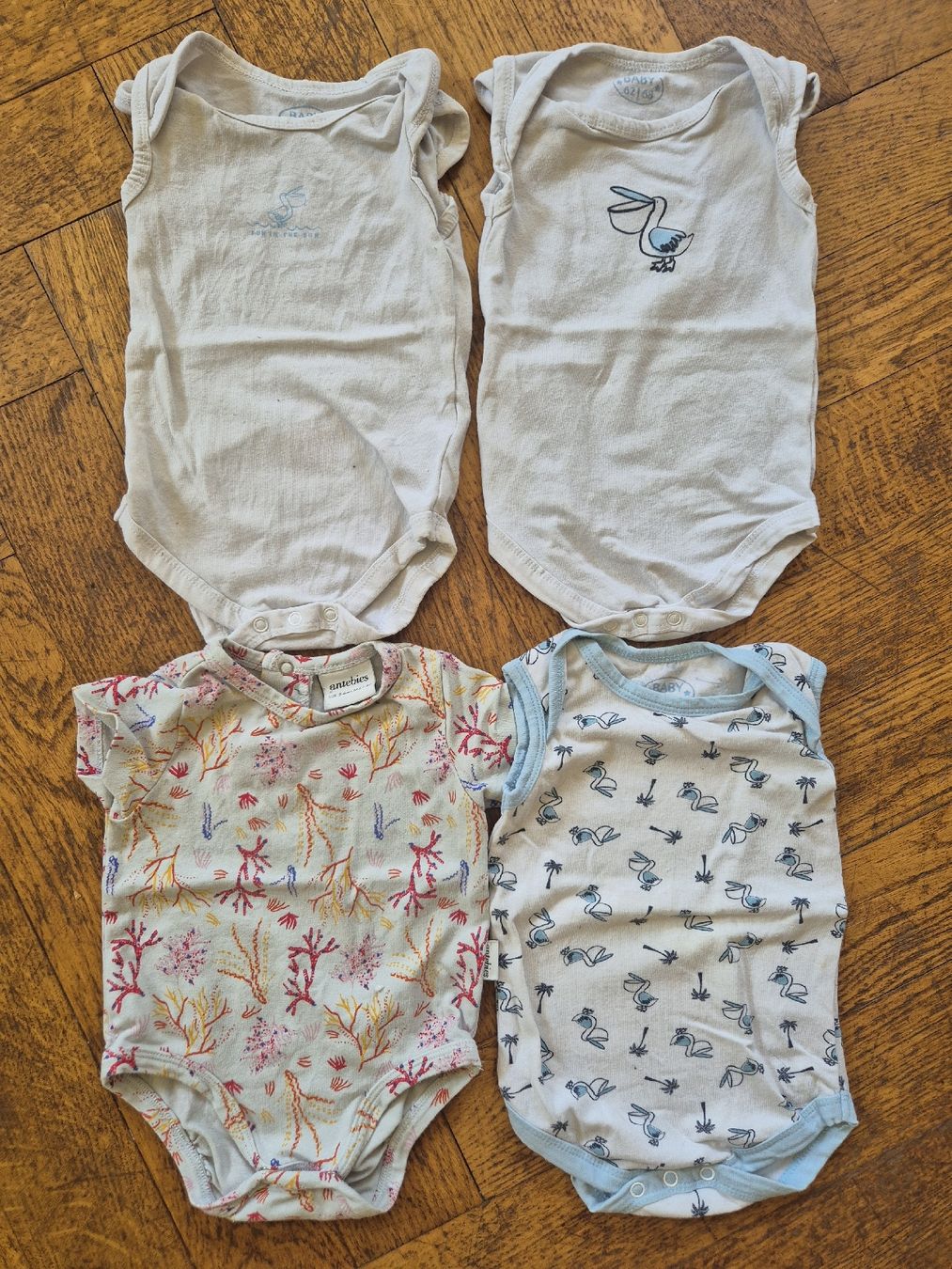 Lotti & Set di vestiti: Lot de 4 bodies bébé taille 62/68 – Usato da Yverdon-les-Bains venduto da somiou
