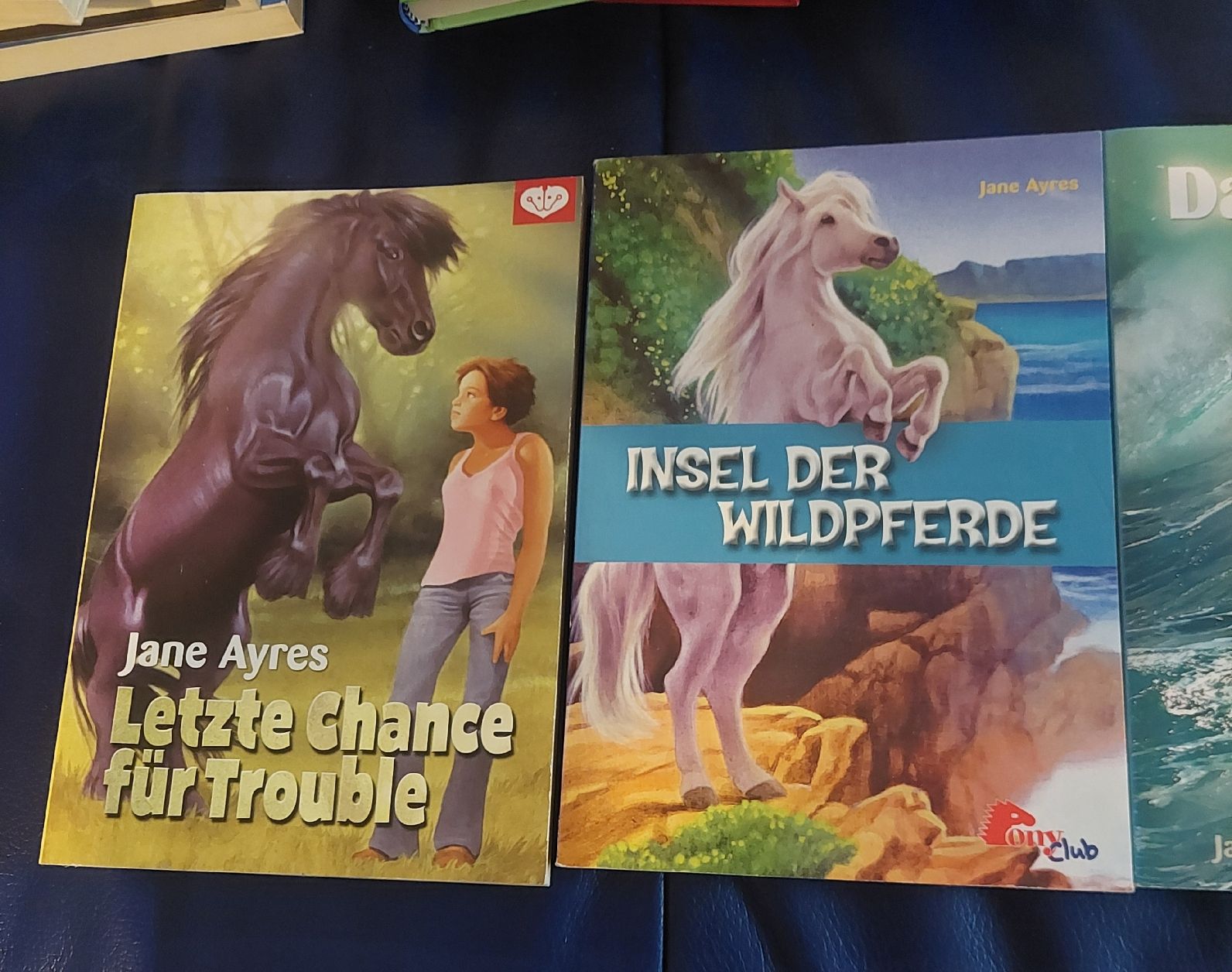 Libri: Bücher Pferde Jane Ayres – Usato da Belp venduto da masterdriftking 1