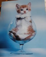 Büssi Poster für Kinderzimmer