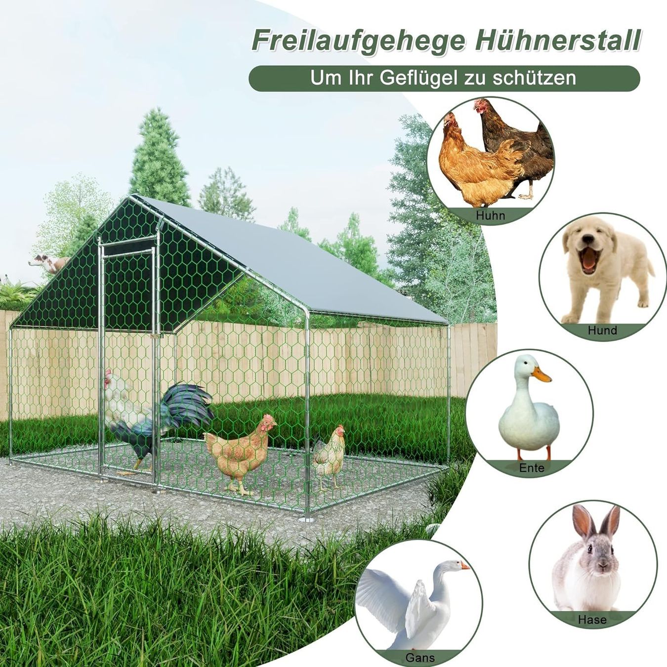 Gabbie, trasporto & Sicurezza: Hühnerstall 3x2x2m Laiham – Nuovo e nell'imballaggio originale da Bottighofen venduto da zaap 5