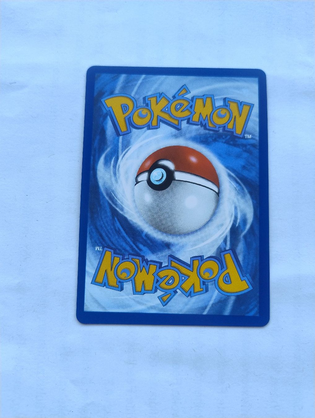 Pokémon Carte collezionabili: Mega Camerupt ex (022/132) EN  – Nuovo (secondo la descrizione) da Wangen SZ venduto da routheman 1