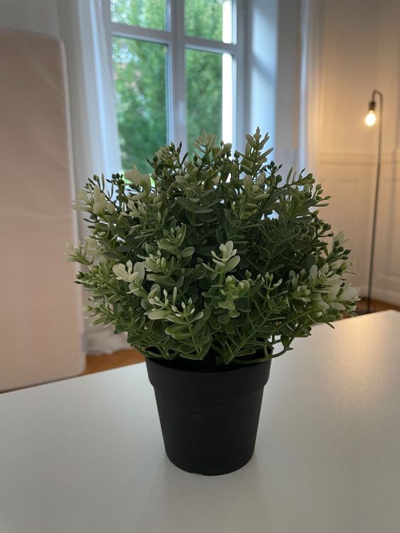 Kunstliche Pflanzen Ikea