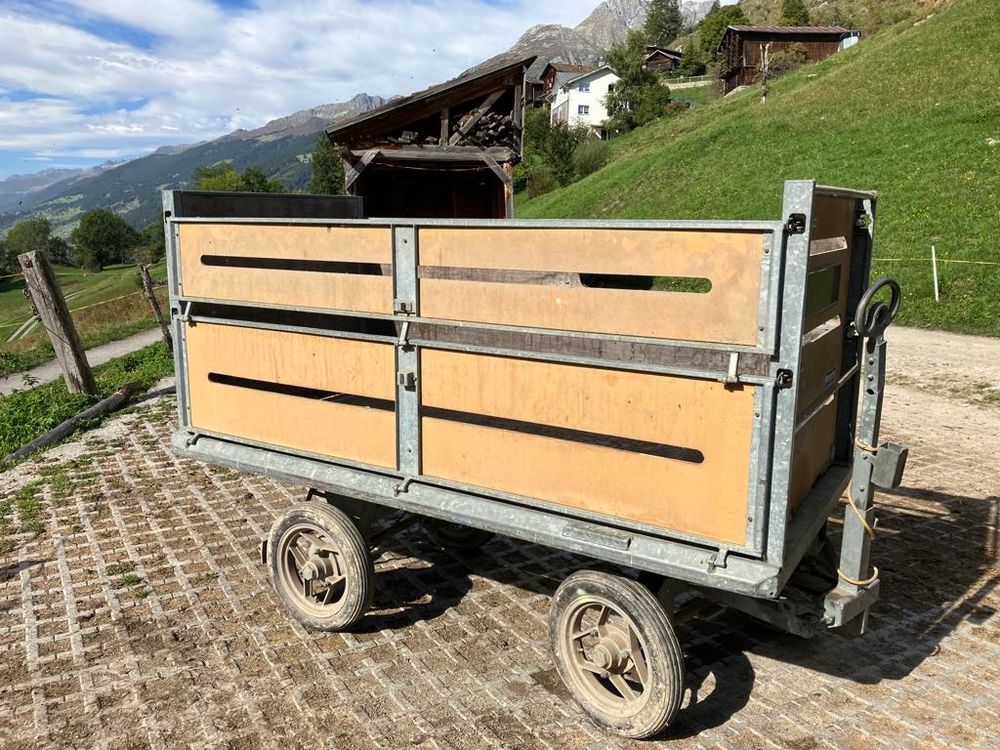Postwagen (Gebraucht) in Dornach für CHF 185 – nur Abholung auf Ricardo ...