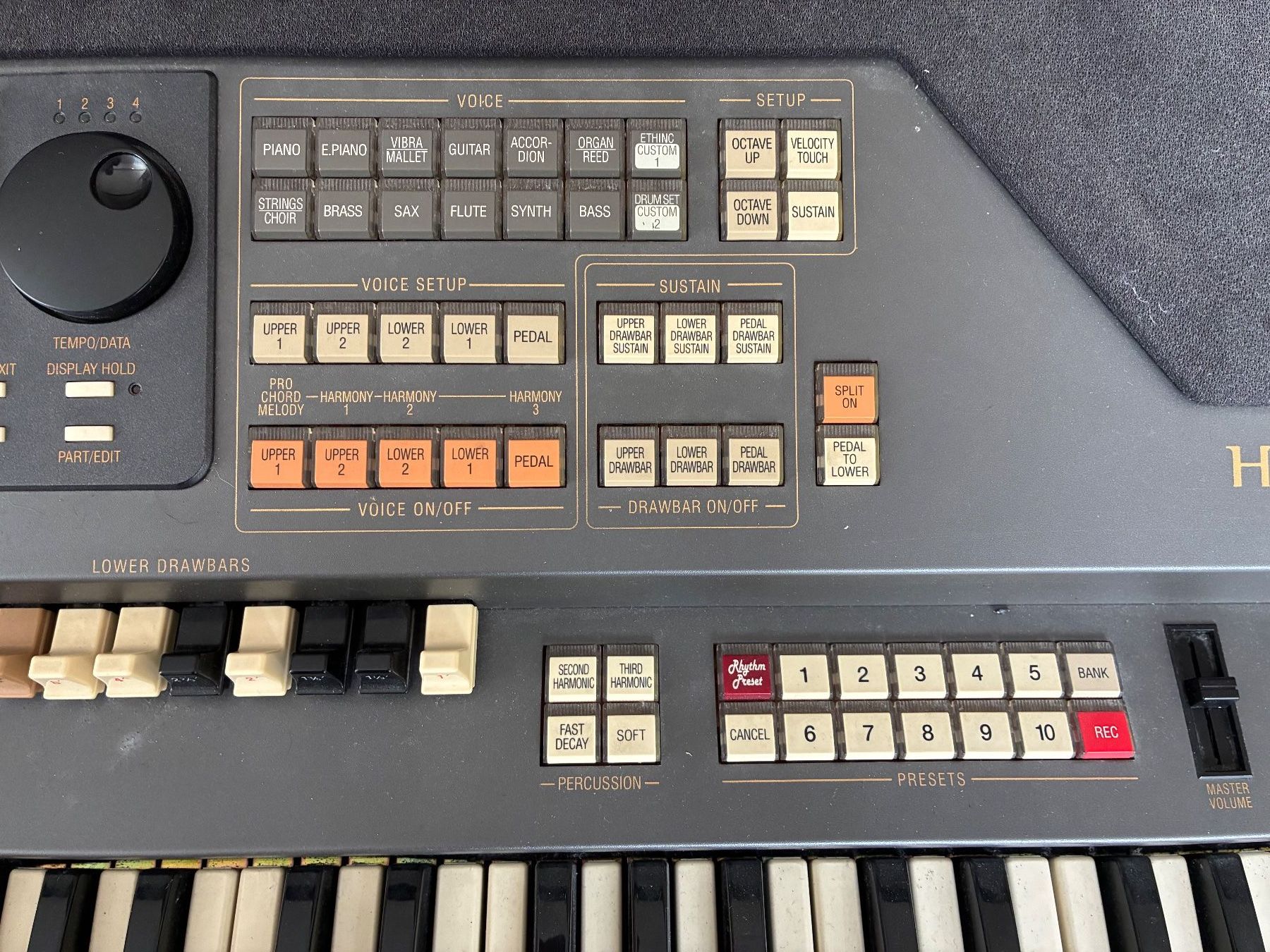 Hammond Musikinstrumente: HAMMOND XE 1, defekt, Mainboard-Fehler – Gebraucht aus Thun von bierigut 1