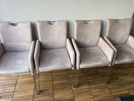 4 Armlehnstühle beige mit Metallbeinen gebraucht