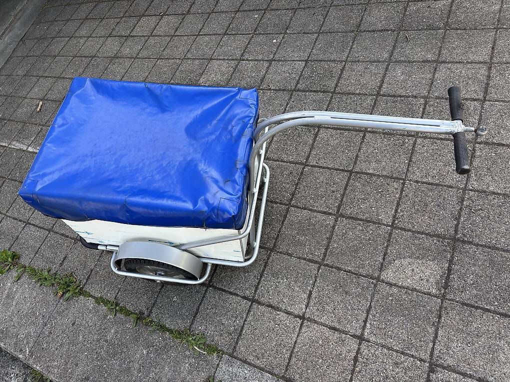 Remorques: Anhänger Töffli Velo Transport – D'occasion à Aadorf par AB-80 4