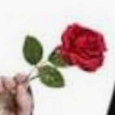 Profile image of mortitia